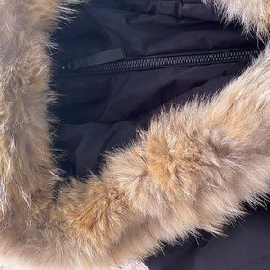 Womens Limited Edition Coyote Fur Mackage Coat